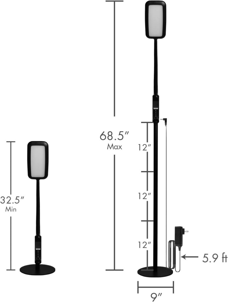 2-1 LED Floor/Desk Lamp