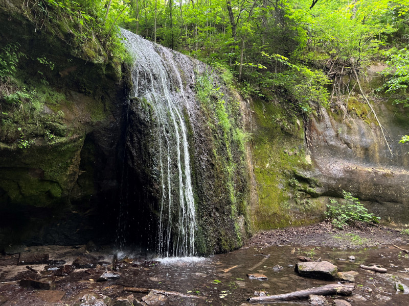 Illana Dehoyos -  Waterfall