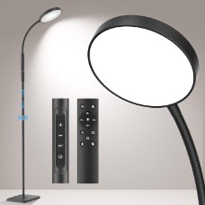 Saucer Floor Lamp