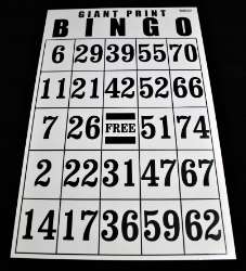 Super Large Laminated Bingo Card