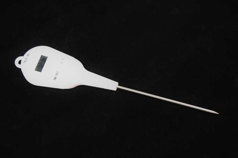 Talking Digital Cooking Thermometer