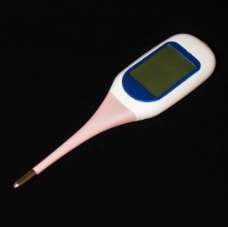 Talking Clinical Thermometer